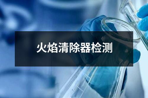 火焰清除器檢測