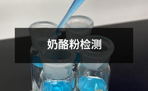 奶酪粉檢測