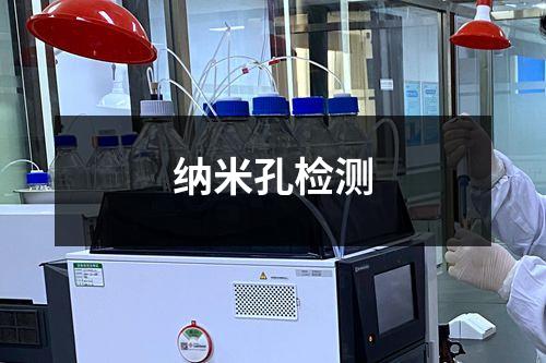 納米孔檢測