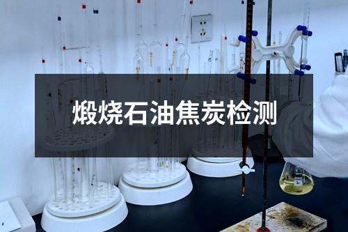 煅燒石油焦炭檢測