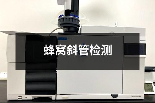 蜂窩斜管檢測