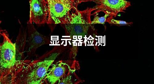 顯示器檢測(cè)