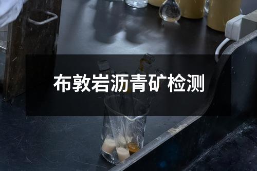 布敦巖瀝青礦檢測