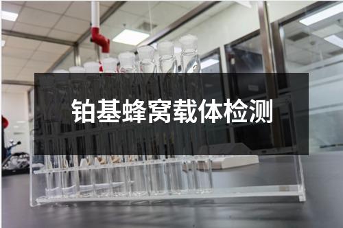鉑基蜂窩載體檢測