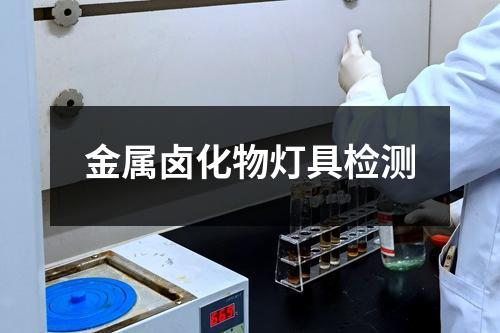 金屬鹵化物燈具檢測