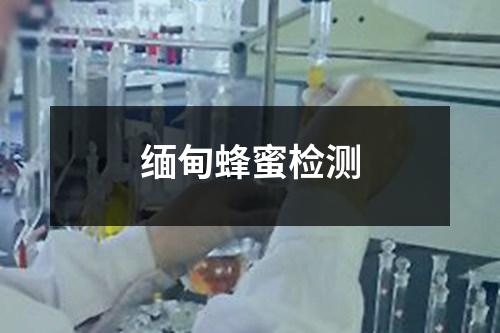 緬甸蜂蜜檢測(cè)