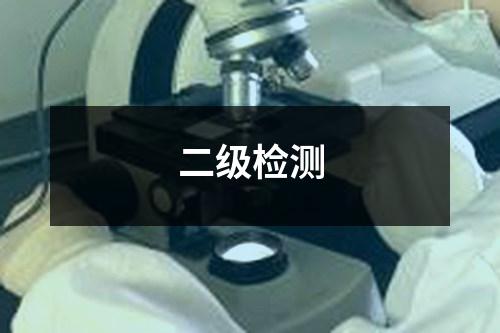 二級(jí)檢測(cè)