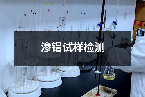 滲鋁試樣檢測