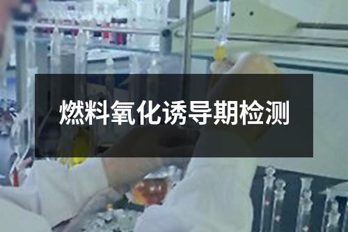 燃料氧化誘導(dǎo)期檢測