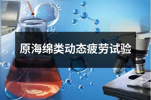 原海綿類動態(tài)疲勞試驗