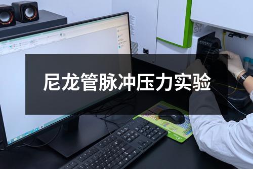 尼龍管脈沖壓力實驗