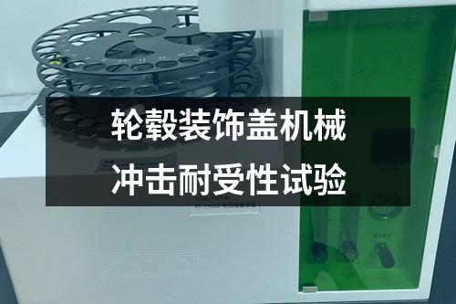 輪轂裝飾蓋機械沖擊耐受性試驗