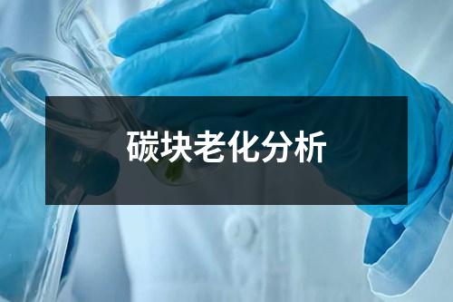 碳塊老化分析