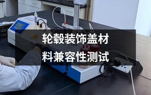 輪轂裝飾蓋材料兼容性測試