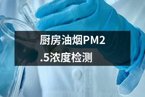 廚房油煙PM2.5濃度檢測