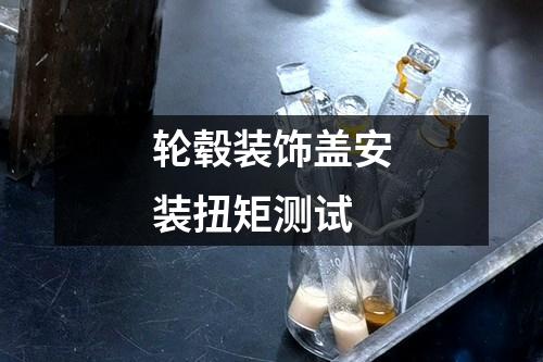 輪轂裝飾蓋安裝扭矩測試