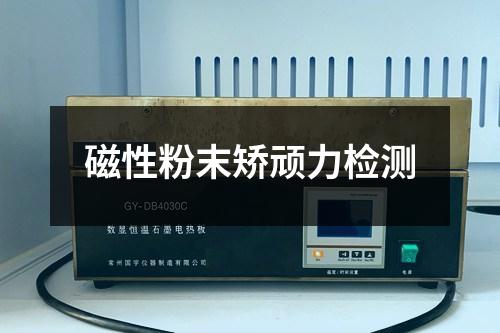 磁性粉末矯頑力檢測(cè)