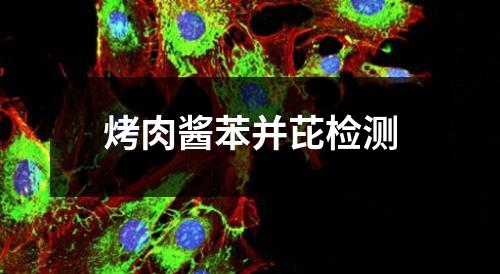 烤肉醬苯并芘檢測(cè)