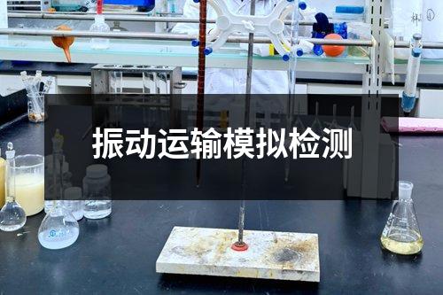 振動運(yùn)輸模擬檢測