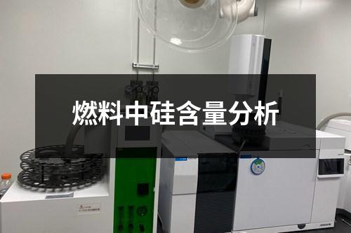 燃料中硅含量分析