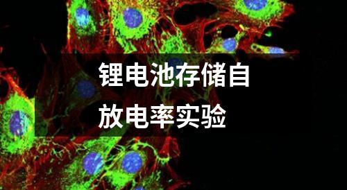鋰電池存儲(chǔ)自放電率實(shí)驗(yàn)