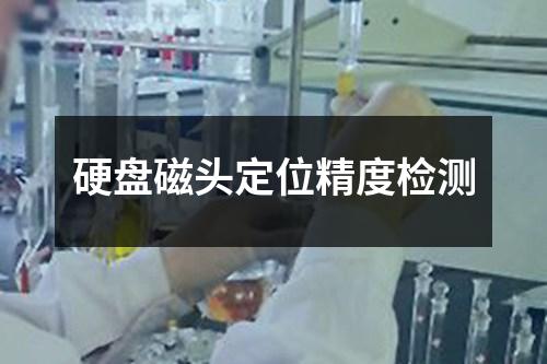 硬盤磁頭定位精度檢測