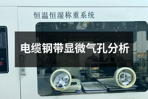 電纜鋼帶顯微氣孔分析