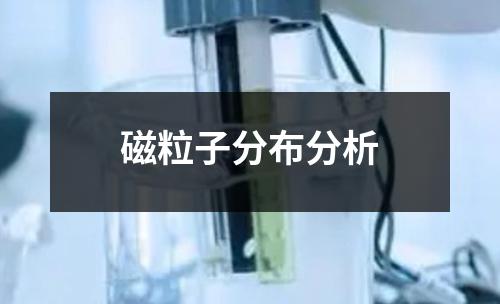 磁粒子分布分析