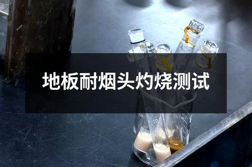 地板耐煙頭灼燒測試