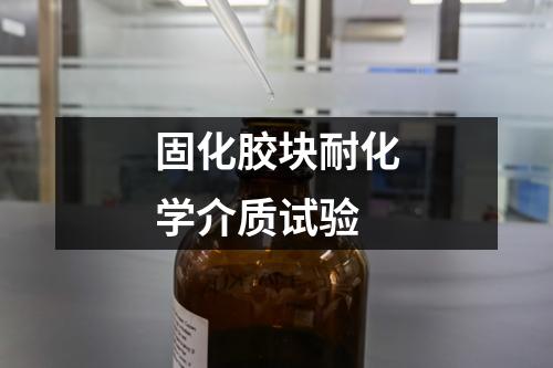固化膠塊耐化學介質(zhì)試驗
