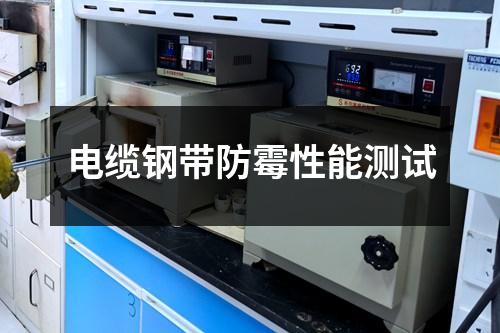 電纜鋼帶防霉性能測試