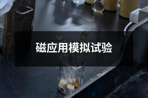 磁應(yīng)用模擬試驗(yàn)