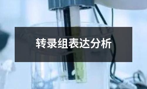 轉(zhuǎn)錄組表達分析