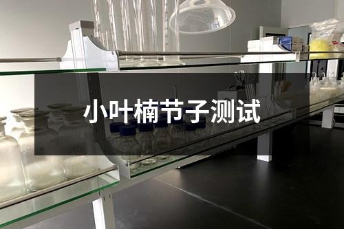 小葉楠節(jié)子測(cè)試