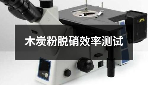木炭粉脫硝效率測(cè)試