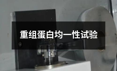 重組蛋白均一性試驗(yàn)