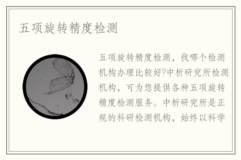 五項旋轉(zhuǎn)精度檢測