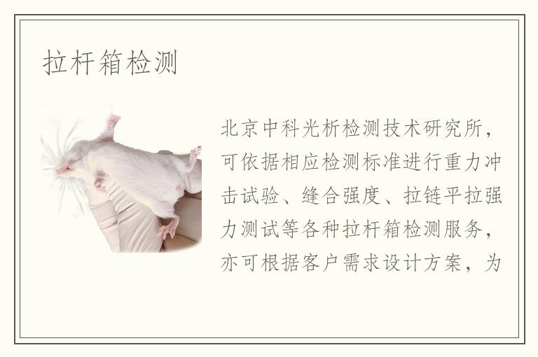 拉桿箱檢測(cè)