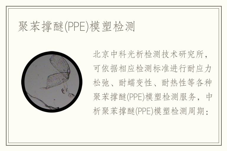 聚苯撐醚(PPE)模塑檢測