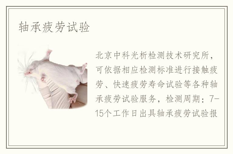軸承疲勞試驗